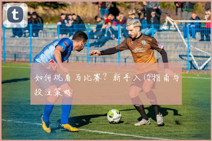 如何观看马比赛？新手入门指南与投注策略