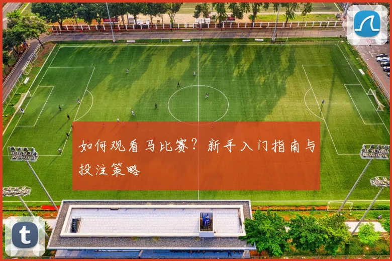 如何观看马比赛?新手入门指南与投注策略